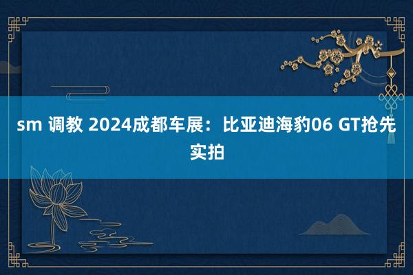 sm 调教 2024成都车展：比亚迪海豹06 GT抢先实拍