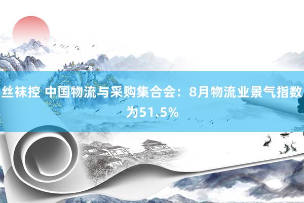 丝袜控 中国物流与采购集合会：8月物流业景气指数为51.5%