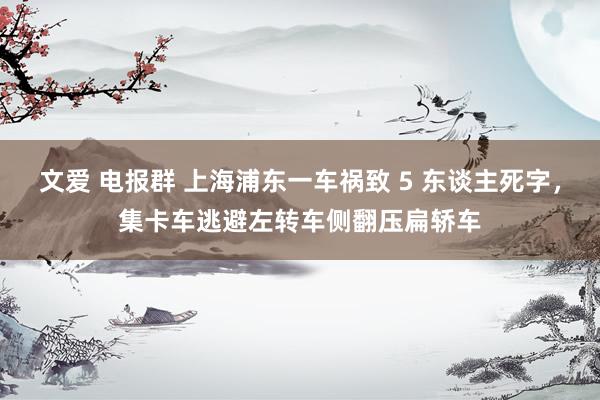 文爱 电报群 上海浦东一车祸致 5 东谈主死字，集卡车逃避左转车侧翻压扁轿车