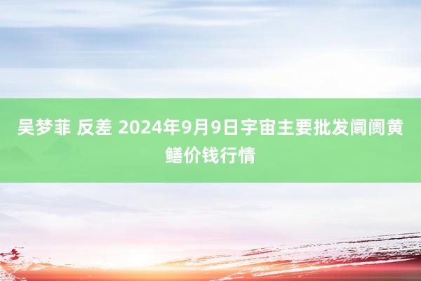 吴梦菲 反差 2024年9月9日宇宙主要批发阛阓黄鳝价钱行情