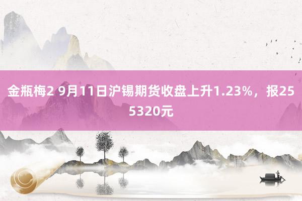 金瓶梅2 9月11日沪锡期货收盘上升1.23%，报255320元