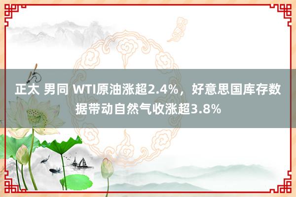 正太 男同 WTI原油涨超2.4%，好意思国库存数据带动自然气收涨超3.8%