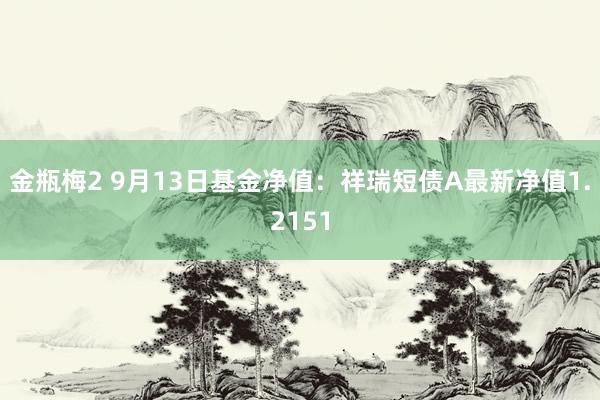 金瓶梅2 9月13日基金净值：祥瑞短债A最新净值1.2151