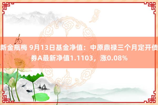 新金瓶梅 9月13日基金净值：中原鼎禄三个月定开债券A最新净值1.1103，涨0.08%