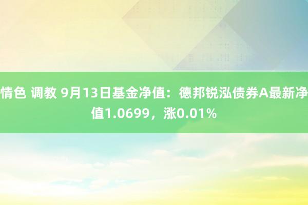 情色 调教 9月13日基金净值：德邦锐泓债券A最新净值1.0699，涨0.01%