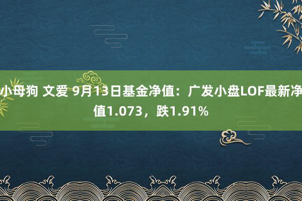 小母狗 文爱 9月13日基金净值：广发小盘LOF最新净值1.073，跌1.91%