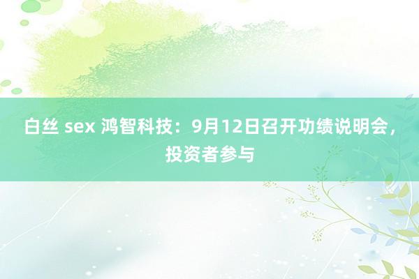 白丝 sex 鸿智科技：9月12日召开功绩说明会，投资者参与