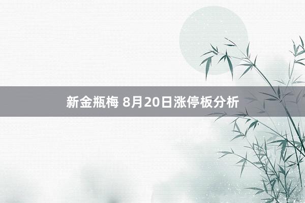 新金瓶梅 8月20日涨停板分析