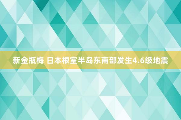 新金瓶梅 日本根室半岛东南部发生4.6级地震