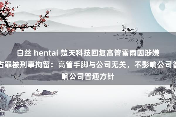 白丝 hentai 楚天科技回复高管雷雨因涉嫌职务侵占罪被刑事拘留：高管手脚与公司无关，不影响公司普通方针