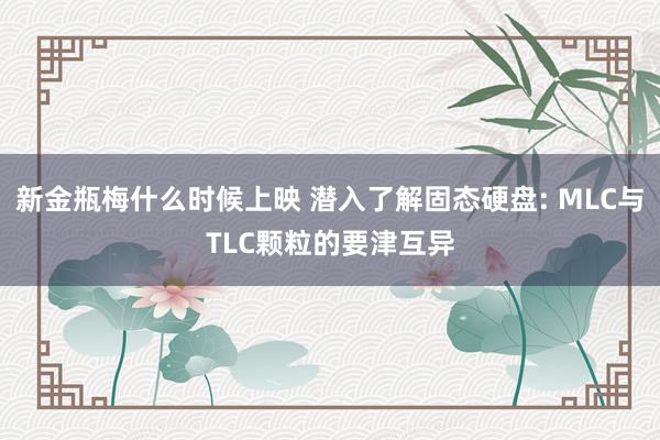 新金瓶梅什么时候上映 潜入了解固态硬盘: MLC与TLC颗粒的要津互异