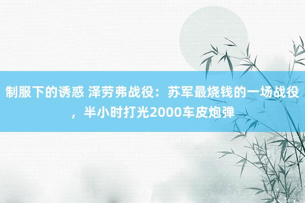 制服下的诱惑 泽劳弗战役：苏军最烧钱的一场战役，半小时打光2000车皮炮弹