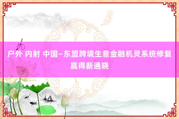 户外 内射 中国—东盟跨境生意金融机灵系统修复赢得新通晓