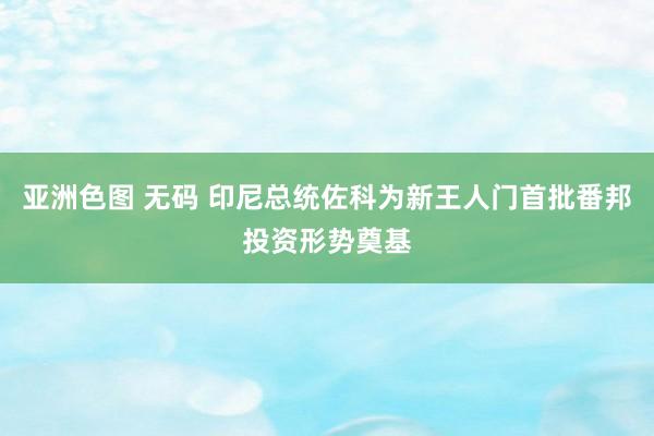 亚洲色图 无码 印尼总统佐科为新王人门首批番邦投资形势奠基