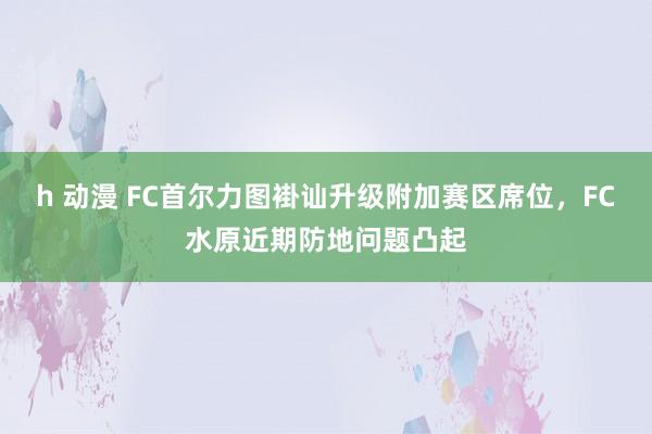 h 动漫 FC首尔力图褂讪升级附加赛区席位，FC水原近期防地问题凸起