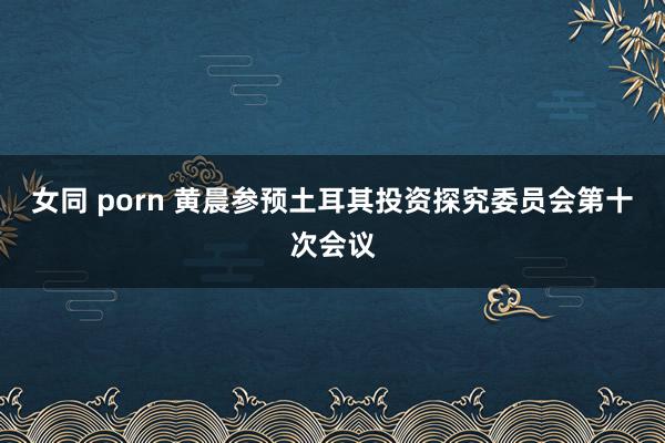 女同 porn 黄晨参预土耳其投资探究委员会第十次会议