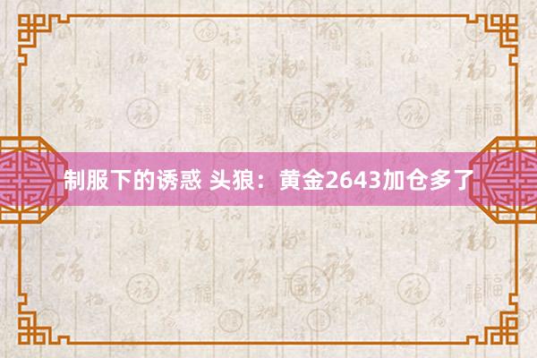 制服下的诱惑 头狼：黄金2643加仓多了