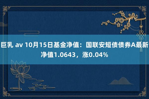 巨乳 av 10月15日基金净值：国联安短债债券A最新净值1.0643，涨0.04%