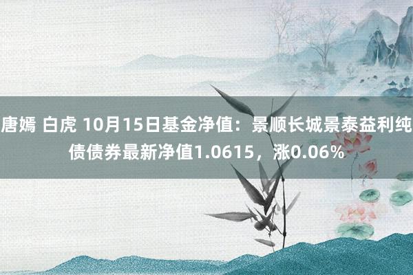 唐嫣 白虎 10月15日基金净值：景顺长城景泰益利纯债债券最新净值1.0615，涨0.06%