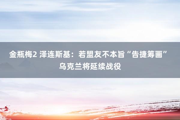 金瓶梅2 泽连斯基：若盟友不本旨“告捷筹画” 乌克兰将延续战役