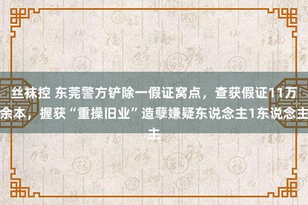 丝袜控 东莞警方铲除一假证窝点，查获假证11万余本，握获“重操旧业”造孽嫌疑东说念主1东说念主