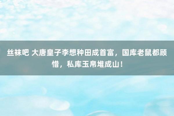 丝袜吧 大唐皇子李想种田成首富，国库老鼠都顾惜，私库玉帛堆成山！