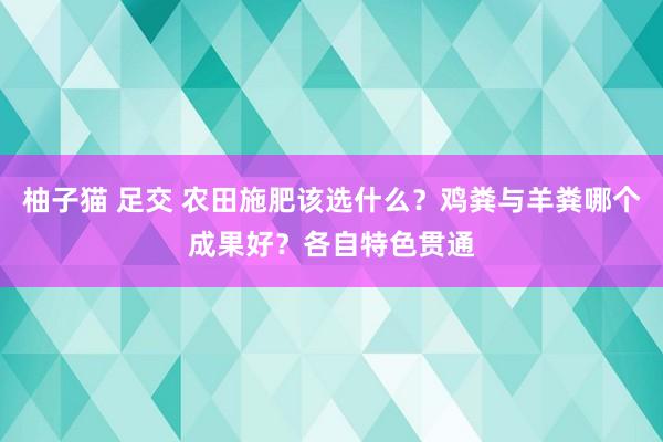 柚子猫 足交 农田施肥该选什么？鸡粪与羊粪哪个成果好？各自特色贯通