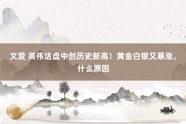 文爱 英伟达盘中创历史新高！黄金白银又暴涨，什么原因