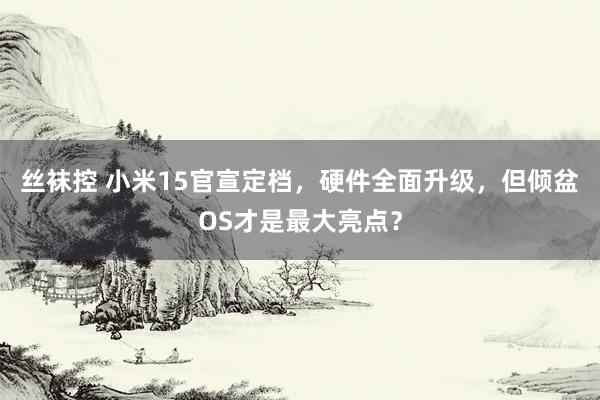 丝袜控 小米15官宣定档，硬件全面升级，但倾盆OS才是最大亮点？