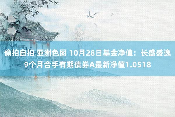 偷拍自拍 亚洲色图 10月28日基金净值：长盛盛逸9个月合手有期债券A最新净值1.0518