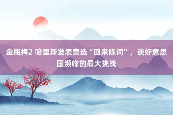 金瓶梅2 哈里斯发表竞选“回来陈词”，谈好意思国濒临的最大挑战