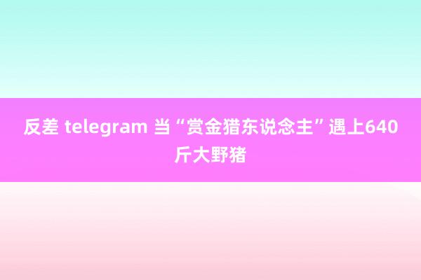 反差 telegram 当“赏金猎东说念主”遇上640斤大野猪