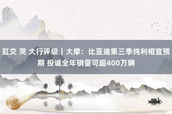 肛交 哭 大行评级｜大摩：比亚迪第三季纯利相宜预期 投诚全年销量可超400万辆