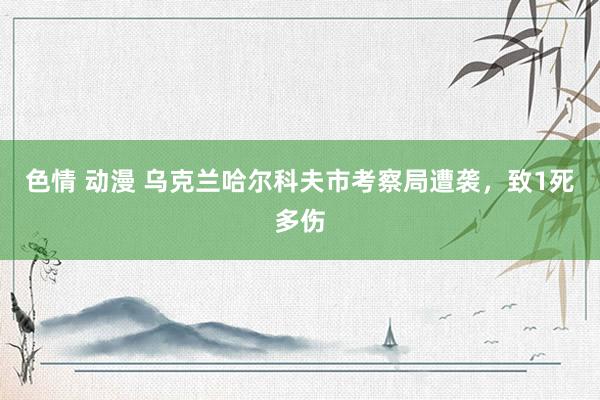 色情 动漫 乌克兰哈尔科夫市考察局遭袭，致1死多伤