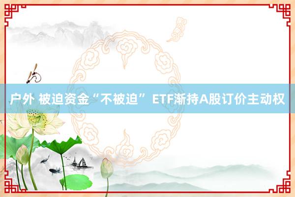 户外 被迫资金“不被迫” ETF渐持A股订价主动权