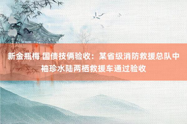 新金瓶梅 国债技俩验收：某省级消防救援总队中袖珍水陆两栖救援车通过验收