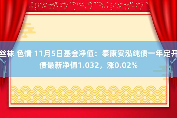 丝袜 色情 11月5日基金净值：泰康安泓纯债一年定开债最新净值1.032，涨0.02%