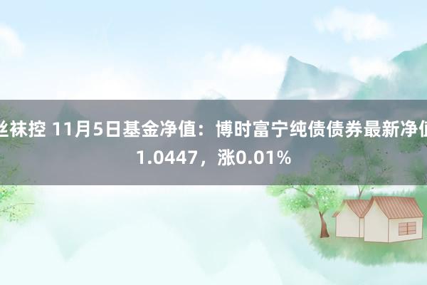 丝袜控 11月5日基金净值：博时富宁纯债债券最新净值1.0447，涨0.01%