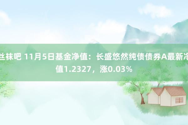 丝袜吧 11月5日基金净值：长盛悠然纯债债券A最新净值1.2327，涨0.03%