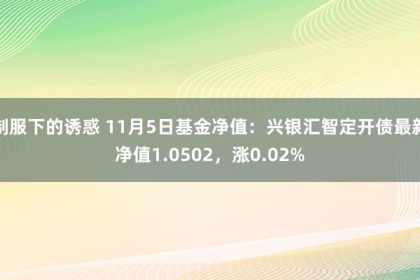 制服下的诱惑 11月5日基金净值：兴银汇智定开债最新净值1.0502，涨0.02%