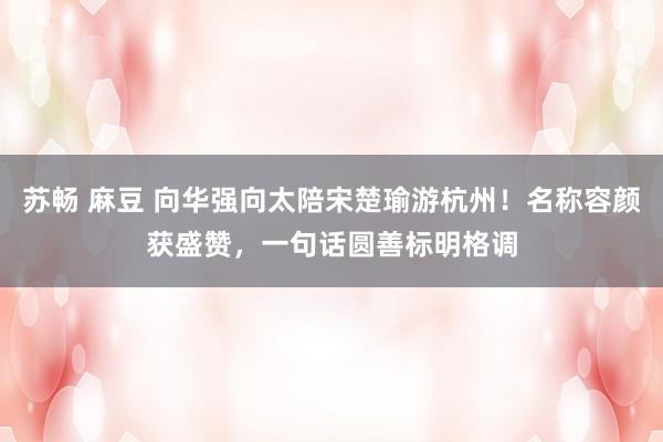 苏畅 麻豆 向华强向太陪宋楚瑜游杭州！名称容颜获盛赞，一句话圆善标明格调