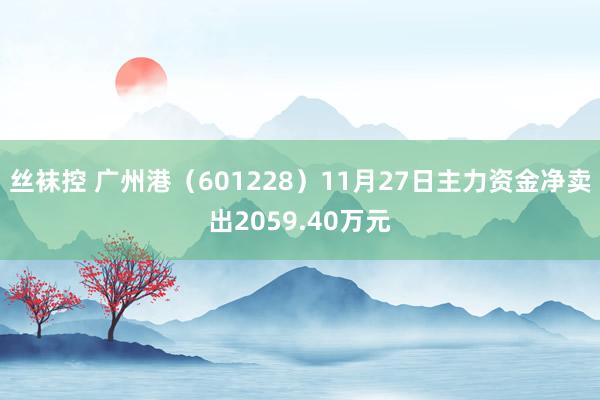 丝袜控 广州港（601228）11月27日主力资金净卖出2059.40万元