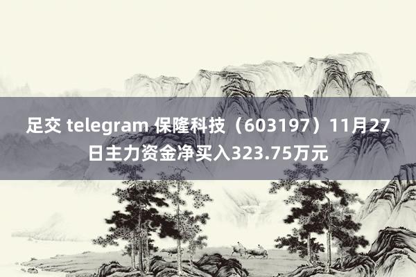 足交 telegram 保隆科技（603197）11月27日主力资金净买入323.75万元