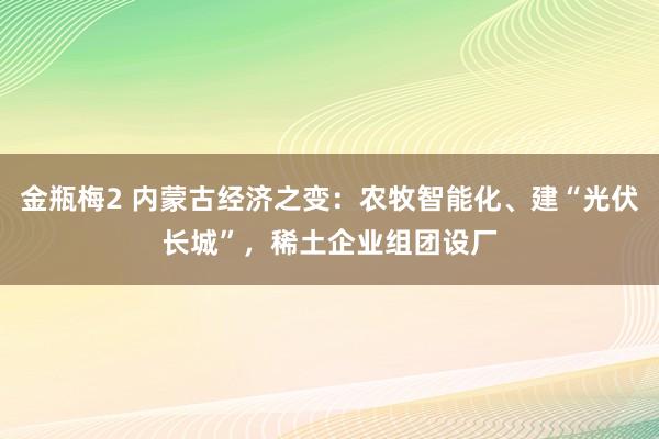 金瓶梅2 内蒙古经济之变：农牧智能化、建“光伏长城”，稀土企业组团设厂