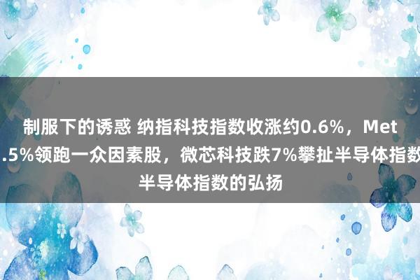 制服下的诱惑 纳指科技指数收涨约0.6%，Meta涨超3.5%领跑一众因素股，微芯科技跌7%攀扯半导体指数的弘扬