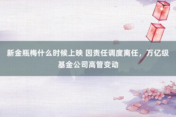 新金瓶梅什么时候上映 因责任调度离任，万亿级基金公司高管变动