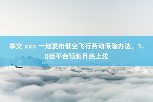 拳交 xxx 一地发布低空飞行劳动保险办法，1.0版平台预测月底上线