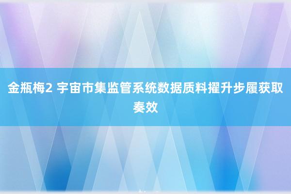 金瓶梅2 宇宙市集监管系统数据质料擢升步履获取奏效