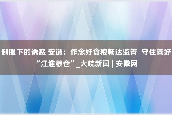 制服下的诱惑 安徽：作念好食粮畅达监管  守住管好“江淮粮仓”_大皖新闻 | 安徽网