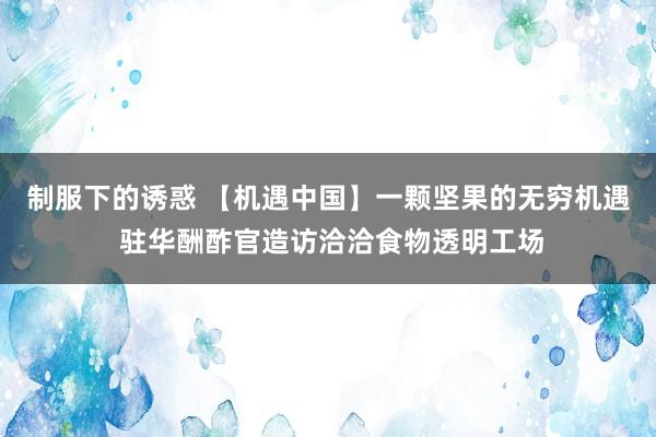 制服下的诱惑 【机遇中国】一颗坚果的无穷机遇 驻华酬酢官造访洽洽食物透明工场